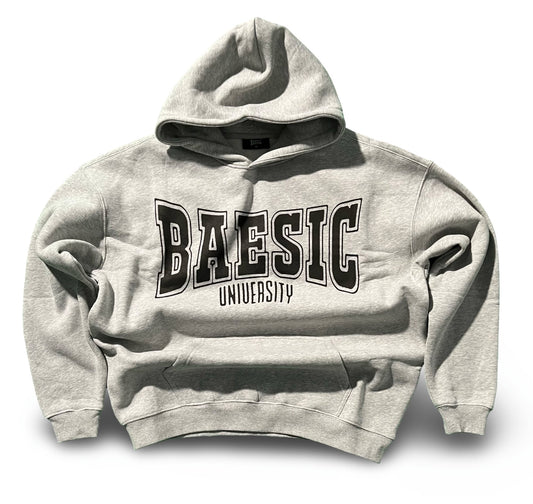 Light Grey University Hoodie